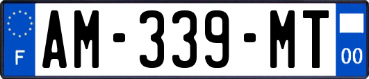 AM-339-MT