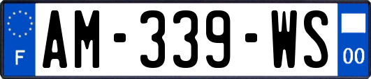AM-339-WS