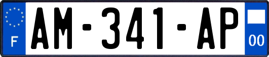 AM-341-AP