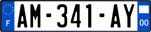 AM-341-AY