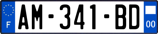 AM-341-BD