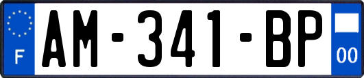 AM-341-BP