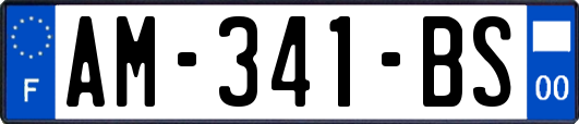 AM-341-BS