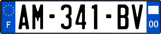 AM-341-BV