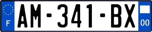 AM-341-BX