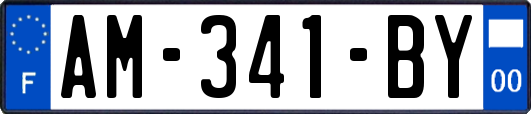 AM-341-BY