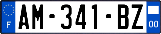 AM-341-BZ