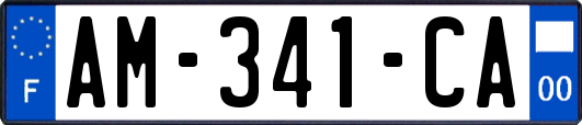 AM-341-CA