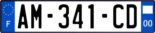 AM-341-CD