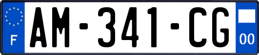 AM-341-CG