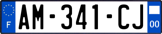 AM-341-CJ