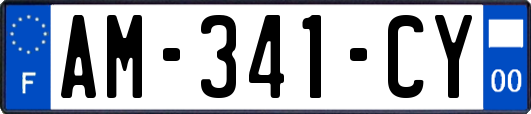 AM-341-CY