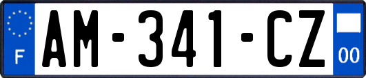 AM-341-CZ