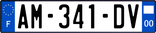 AM-341-DV