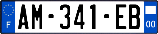 AM-341-EB