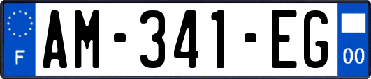 AM-341-EG