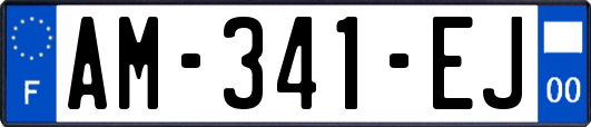AM-341-EJ