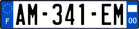 AM-341-EM