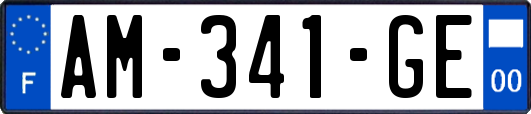 AM-341-GE