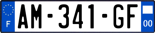 AM-341-GF