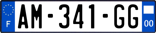 AM-341-GG