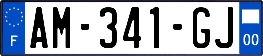 AM-341-GJ