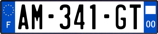 AM-341-GT