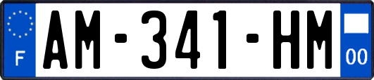 AM-341-HM