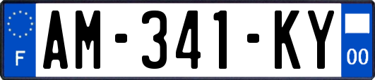 AM-341-KY