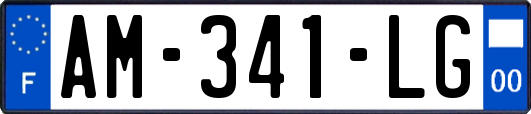 AM-341-LG