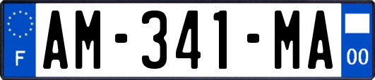 AM-341-MA