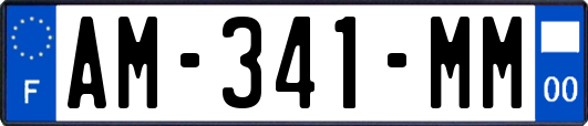 AM-341-MM