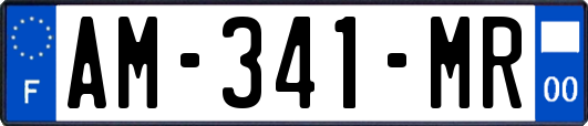 AM-341-MR