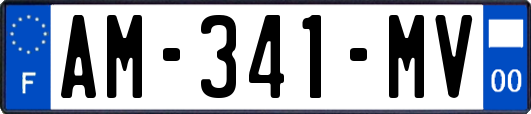AM-341-MV