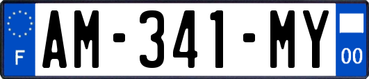 AM-341-MY