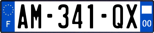 AM-341-QX