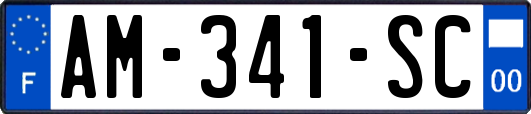 AM-341-SC