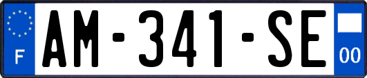 AM-341-SE
