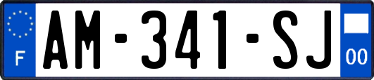 AM-341-SJ
