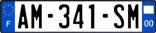 AM-341-SM