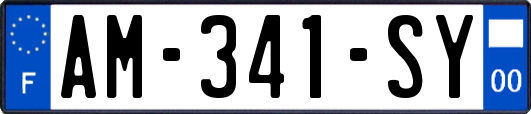AM-341-SY