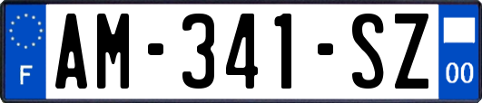 AM-341-SZ