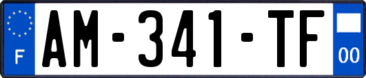 AM-341-TF