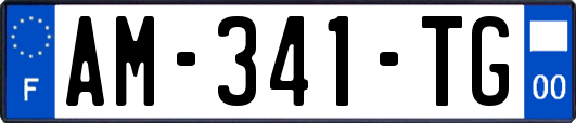 AM-341-TG