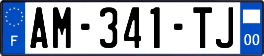 AM-341-TJ