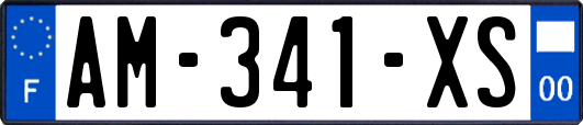 AM-341-XS