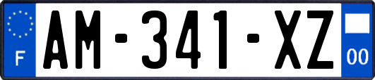 AM-341-XZ