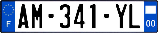 AM-341-YL