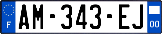 AM-343-EJ
