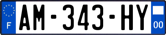 AM-343-HY